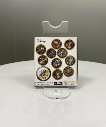 CHAPA SORPRESA WINNIE POOH