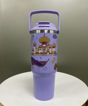 BOTELLA TERMICA CON PITILLO ALADDIN GRANDE