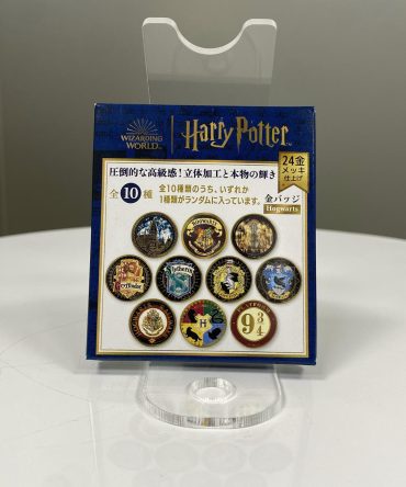 CHAPA SORPRESA CASAS HARRY